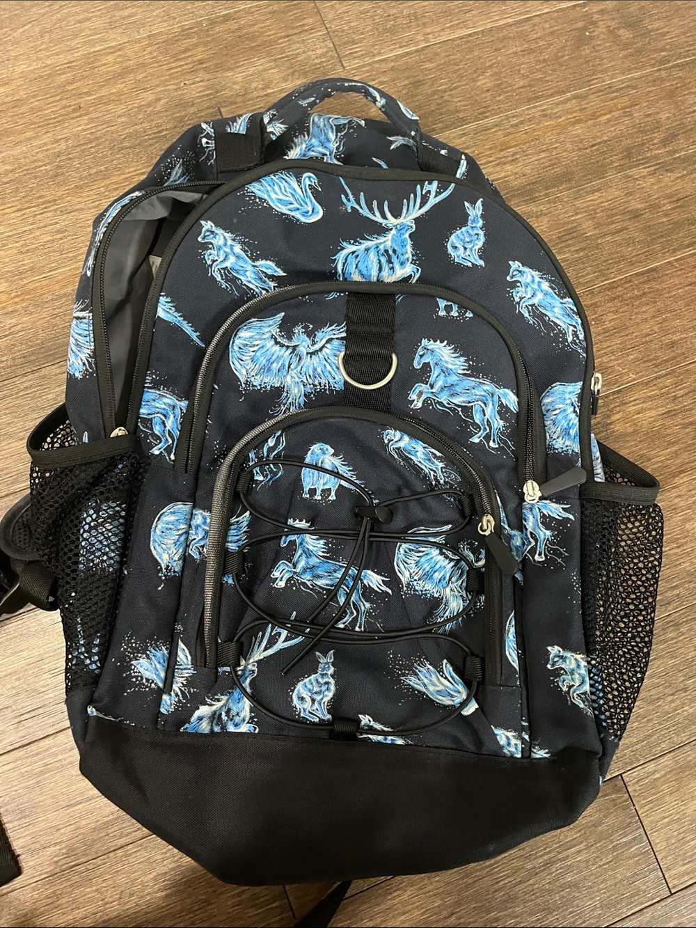 Pottery Barn Teen Harry Potter Backpack